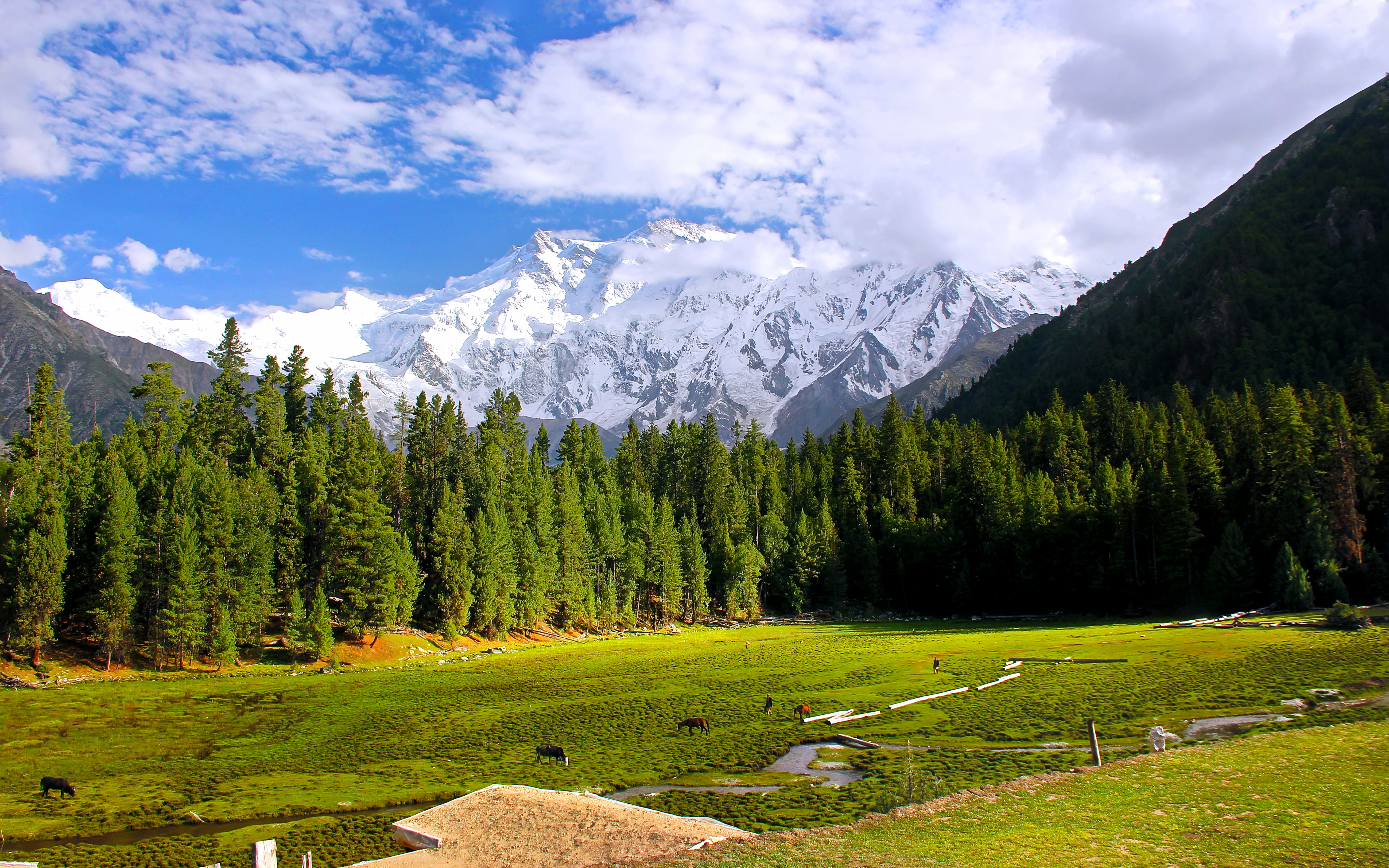 Fairy Meadows & Nanga Parbat Base Camp Trek gallery image 2