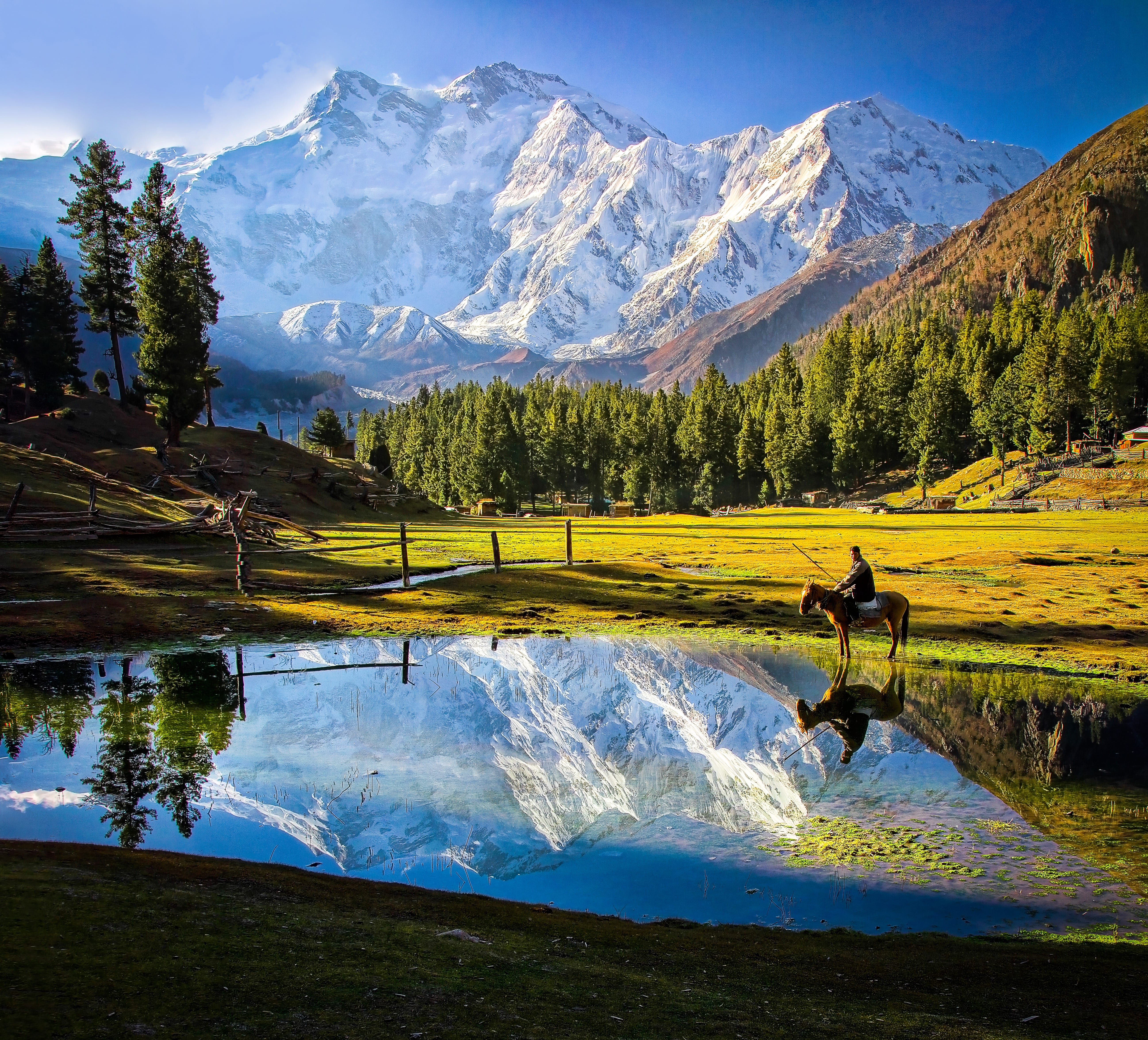 Fairy Meadows & Nanga Parbat Base Camp Trek
