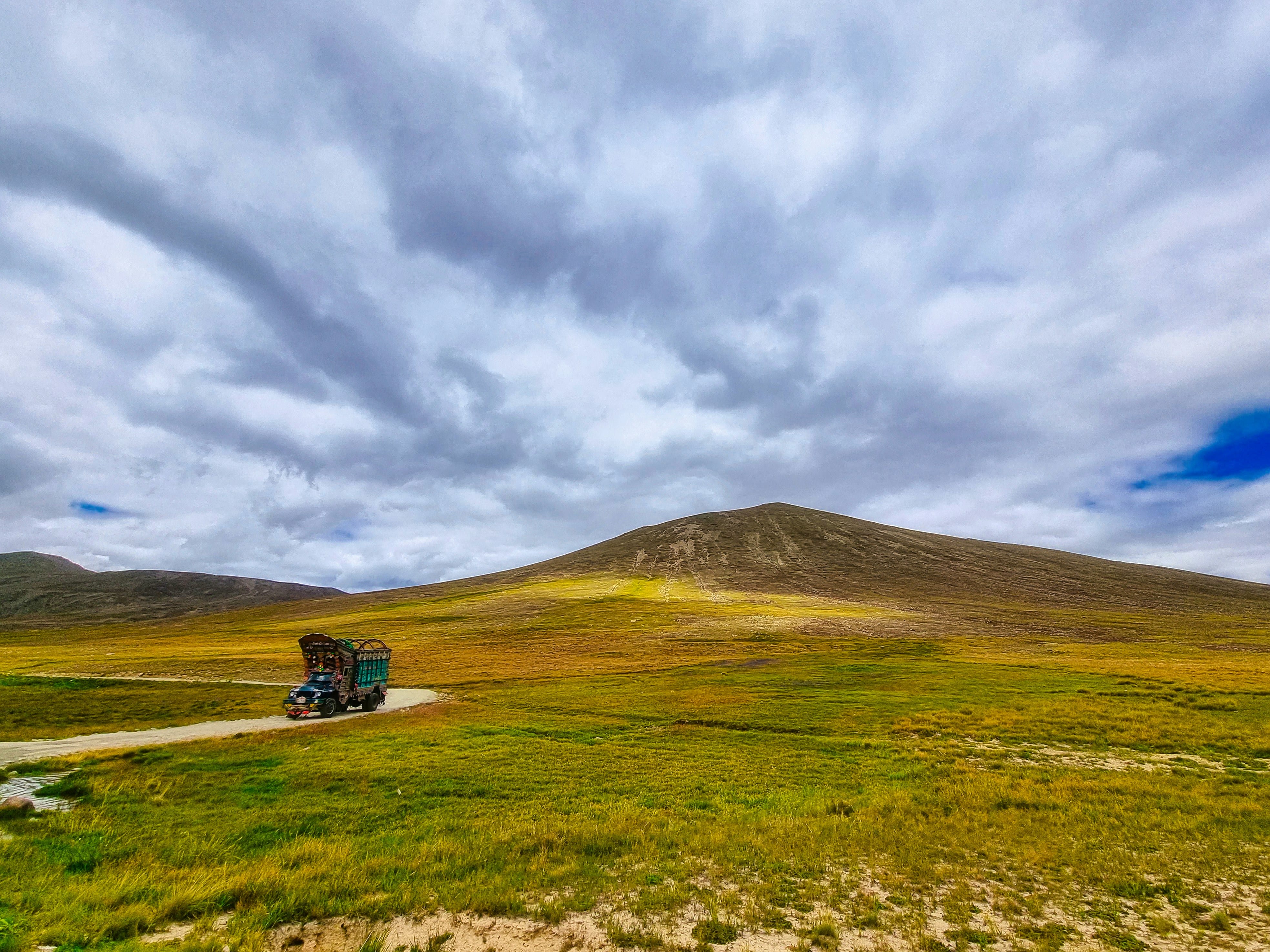 Wildflower meadows of the Deosai Plains with snow-capped peaks on the horizon
